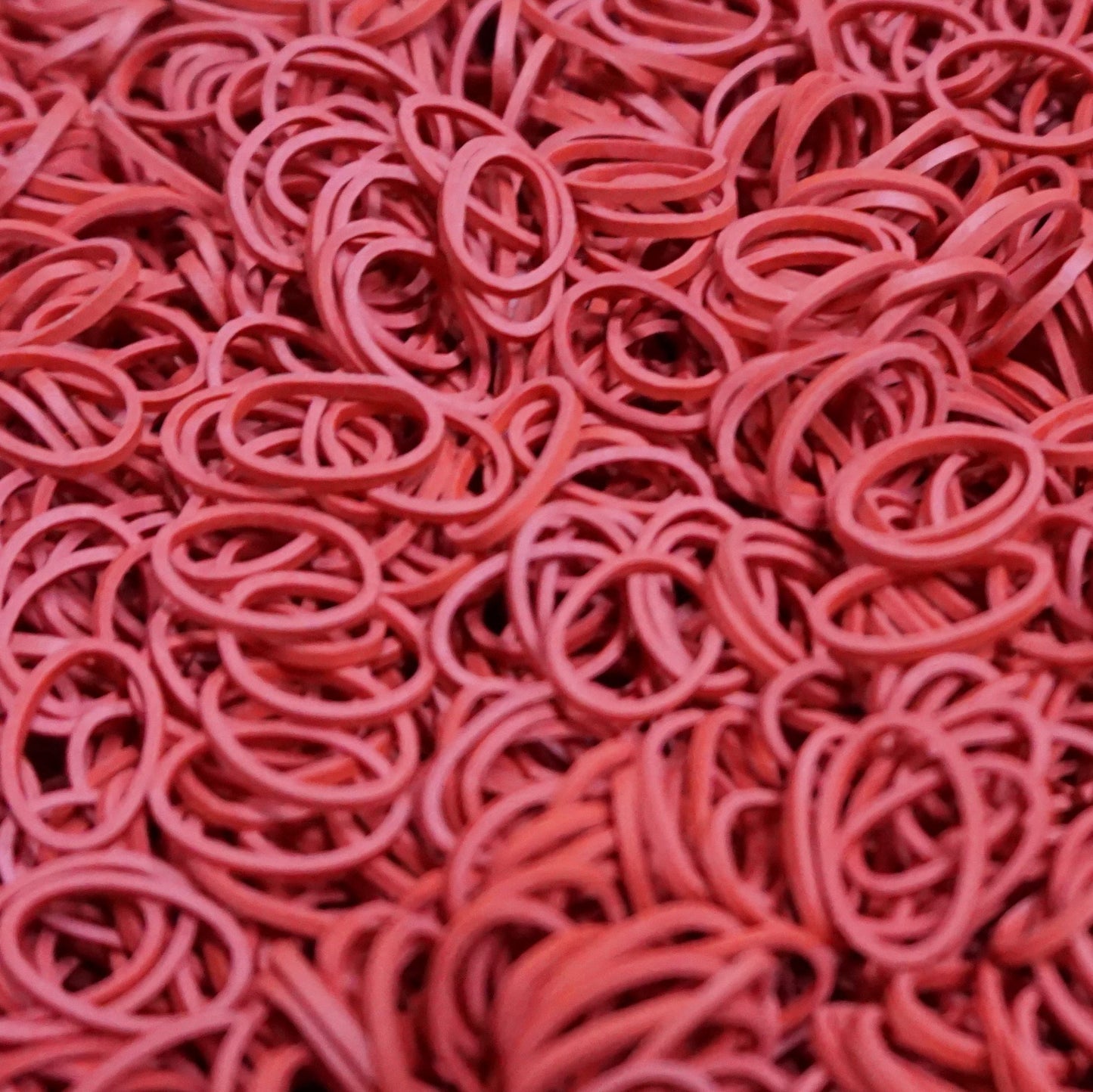 500, Red, Standard Size,  Rubber Bands for Pony Tails and Braids - 12 Retail Packs