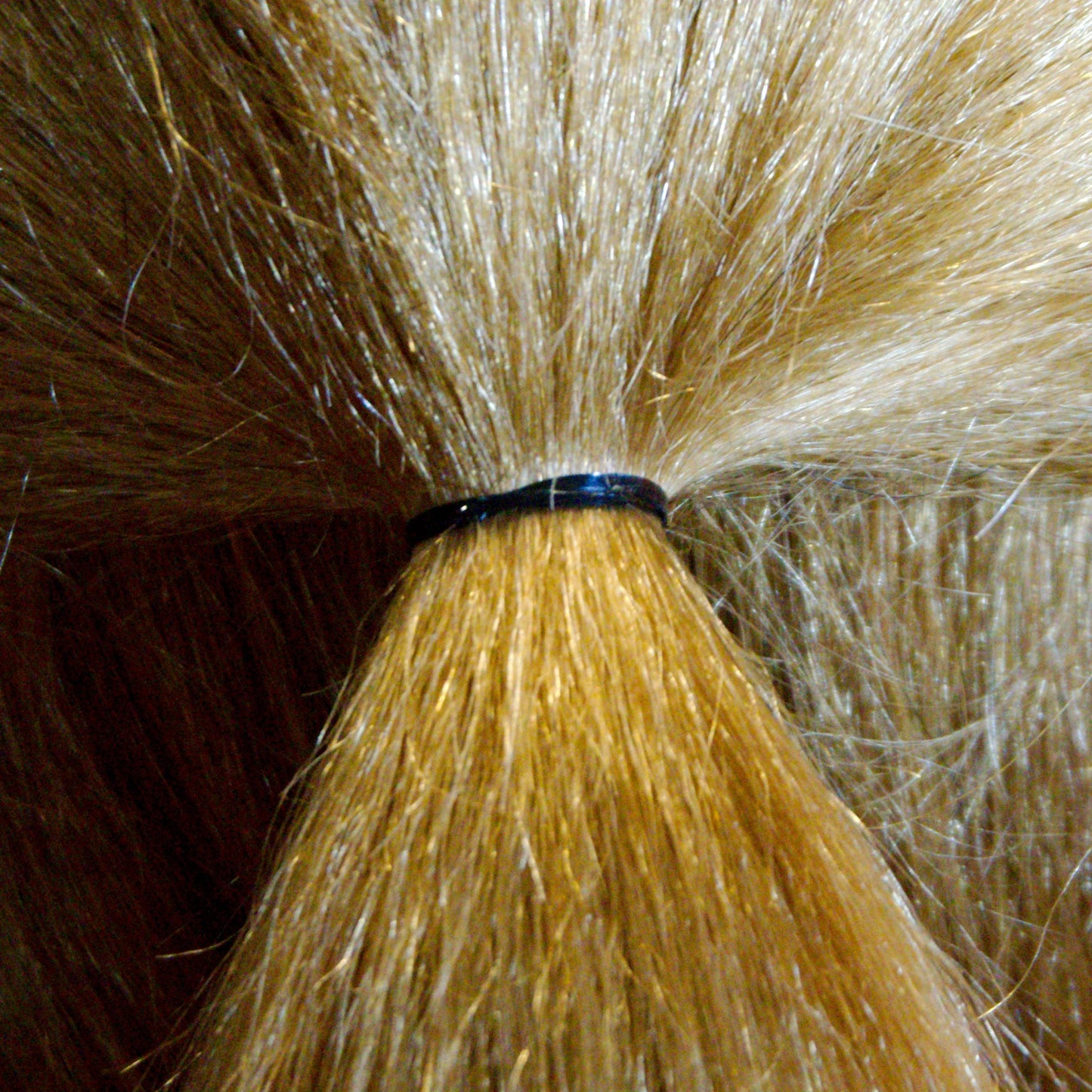 Amelia Beauty | 1/2in, Black, Tangle Free Elastic Pony Tail Holders | Made in USA, Ideal for Ponytails, Braids, Twists. For Women, Girls. Pain Free, Snag Free, Easy Off | 1000 Pack - 12 Retail Packs